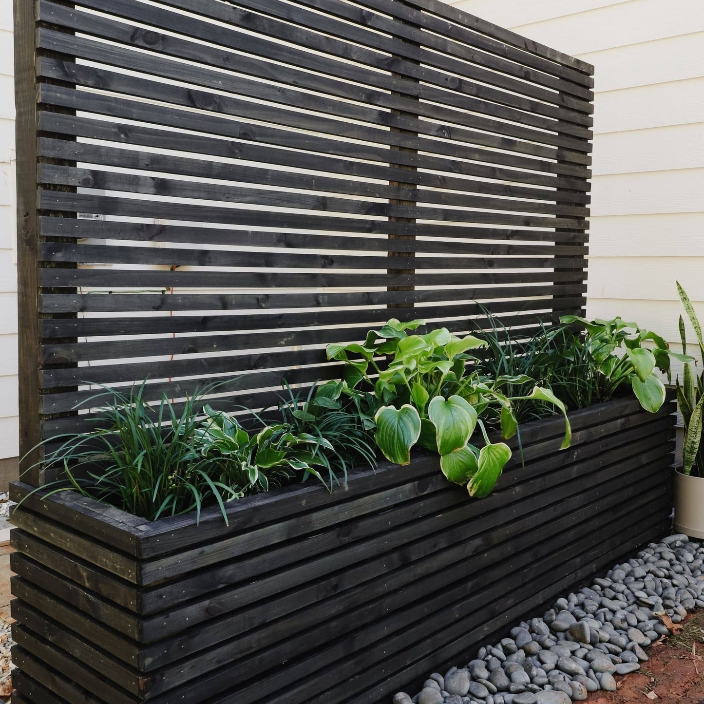 Wood Slat Privacy Screen with Planter stained with plants