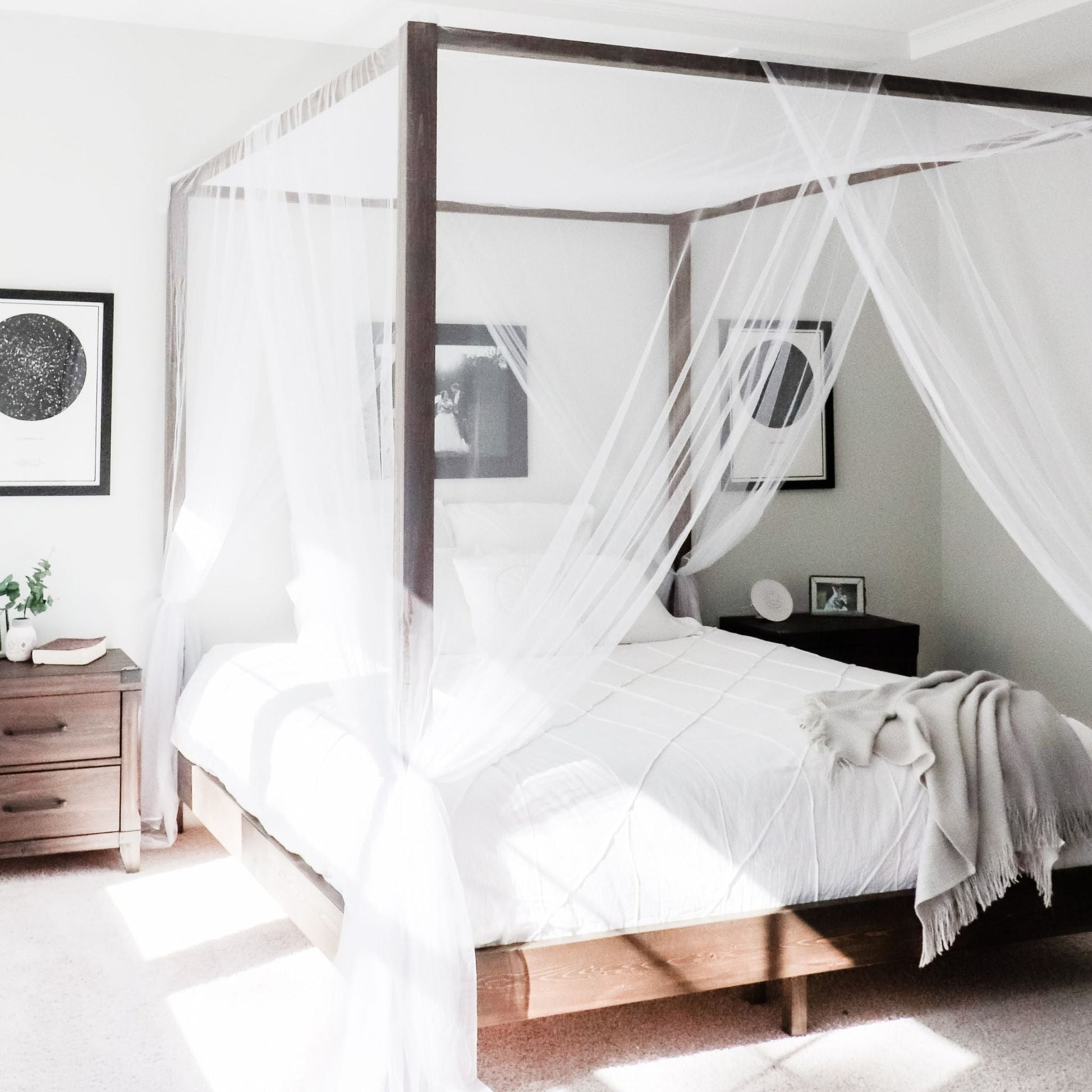 Canopy Bed with sheer curtains