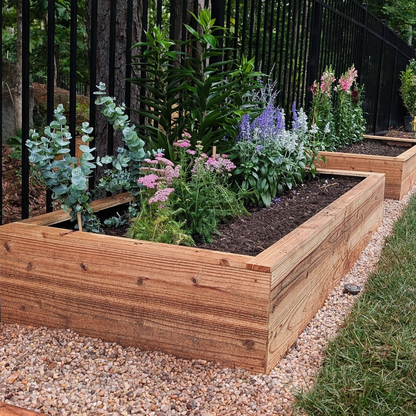 DIY Wooden raised garden bed with plants in a garden setting