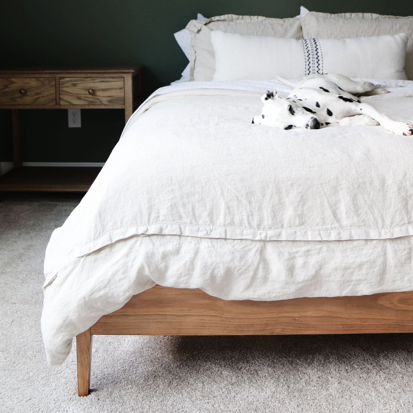 dalmatian sleeping on wooden DIY bed frame with tapered legs