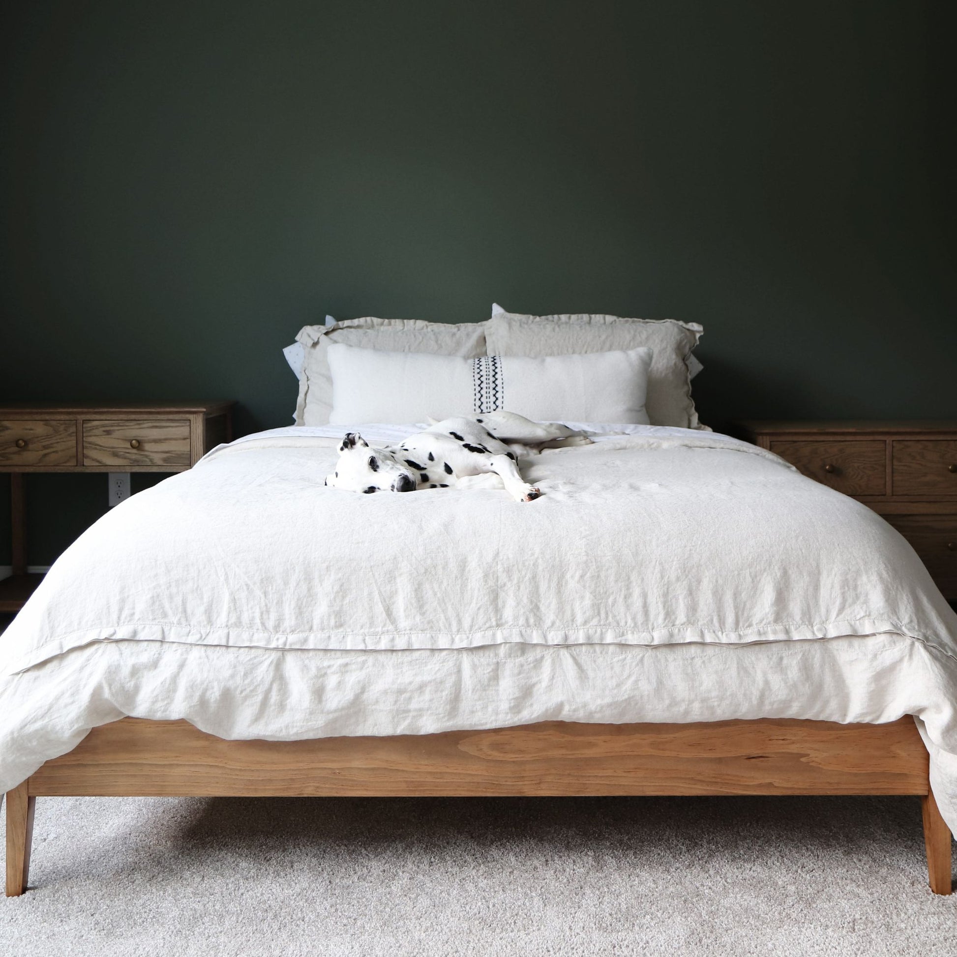 front view of dalmatian laying on DIY simple bed frame in green bedroom