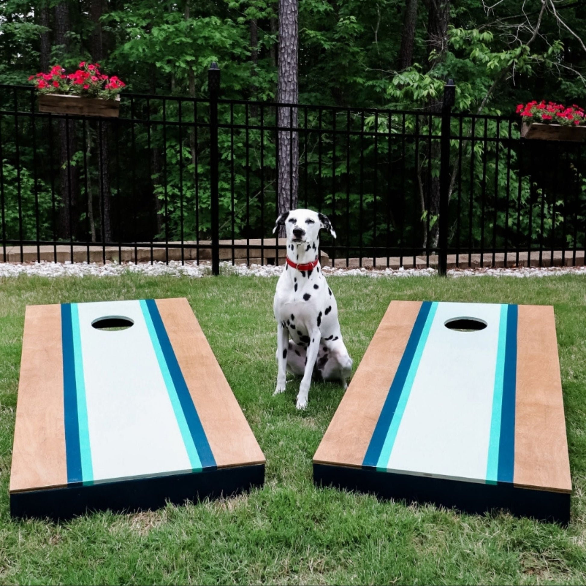 The Ultimate Cornhole Boards with blue, aqua, and white stripe with a dalmatian sitting in between