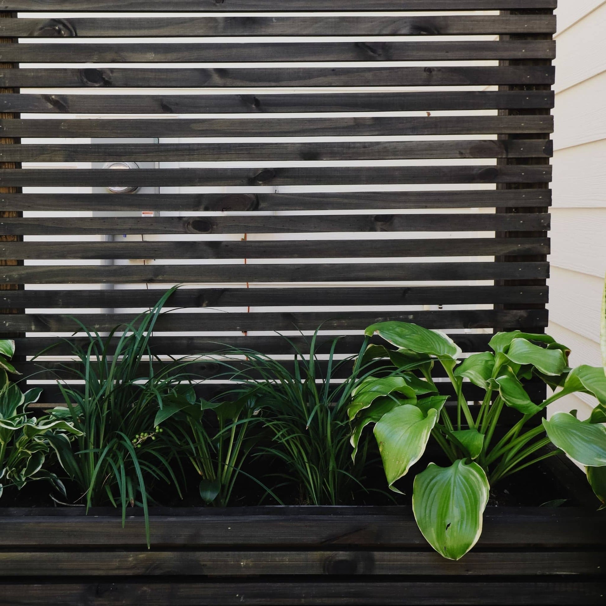 Wood Slat Privacy Screen with Planter stained with plants